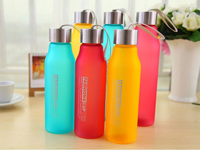 530 & 600 ML WATER BOTTLE