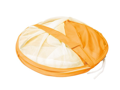 BEACH MAT WITH SHELTER