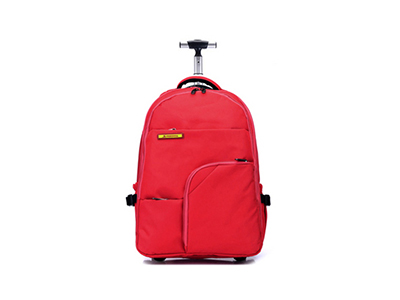 DOUBLE-SHOULDER TRAVEL BAG