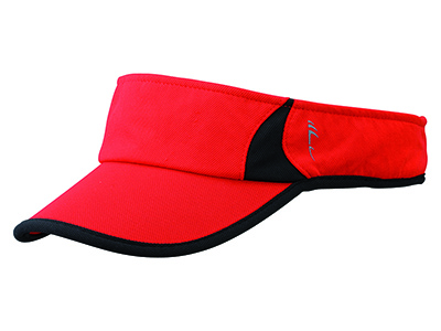 2-COLOR VISOR
