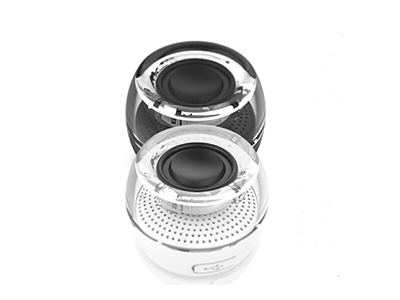 PORTABLE MINI SPEAKER