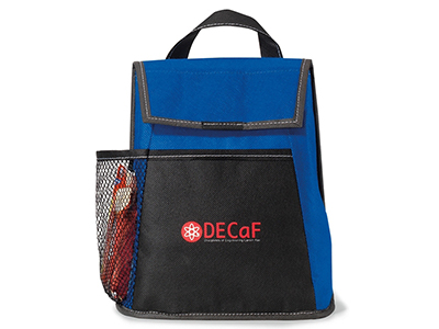 INSULATED LUNCH BAG