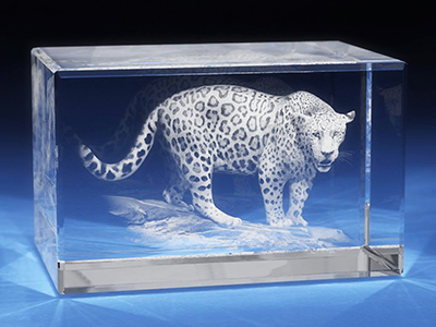 Custom 3D Crystal Award