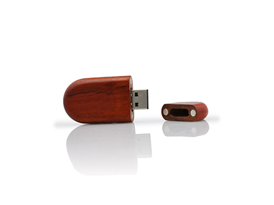 SAPLING USB FLASH DRIVE