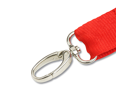 Hang In There Lanyard