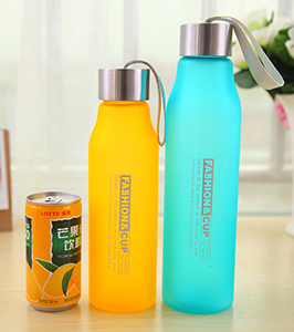 530 & 600 ML WATER BOTTLE