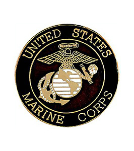 Custom Cloisonne Hard Enamel Lapel Pin 