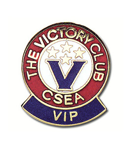 Custom Cloisonne Hard Enamel Lapel Pin 