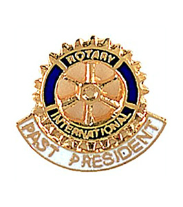 Custom Cloisonne Hard Enamel Lapel Pin 