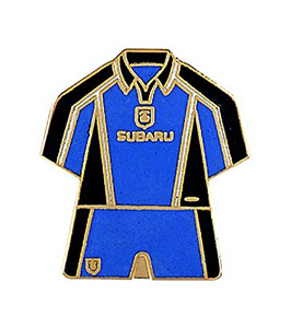 Custom Cloisonne Hard Enamel Lapel Pin 