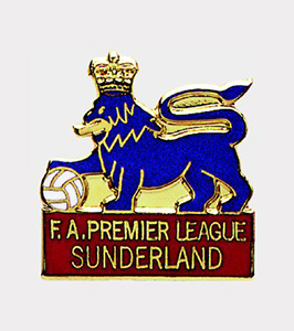 Custom Cloisonne Hard Enamel Lapel Pin 