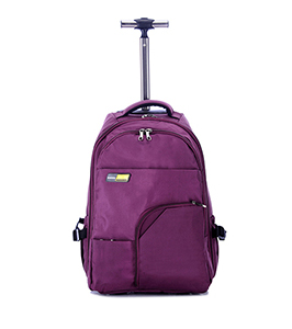 DOUBLE-SHOULDER TRAVEL BAG