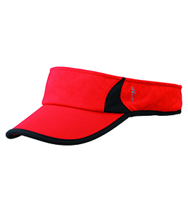 2-COLOR VISOR