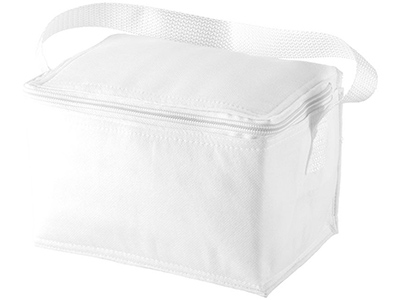 SPECTRUM 6 CAN COOLER BAG