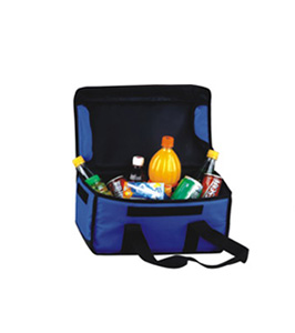 Cooler Bag 