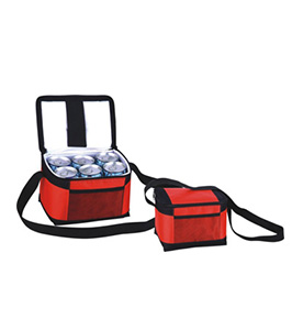 Cooler Bag 